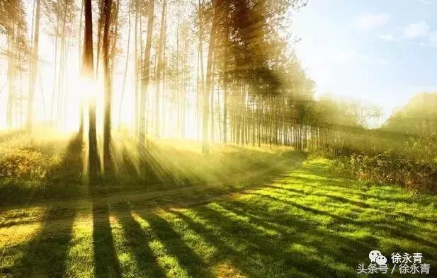 怀揣梦想做有志少年,怀揣梦想做自己