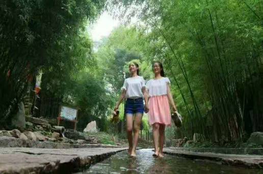 词风雅韵-冯振宇｜千条溪水奔流去万顷荷花娇艳红