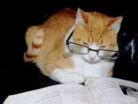 做会计是一种怎样的体验,做会计是做什么工作的