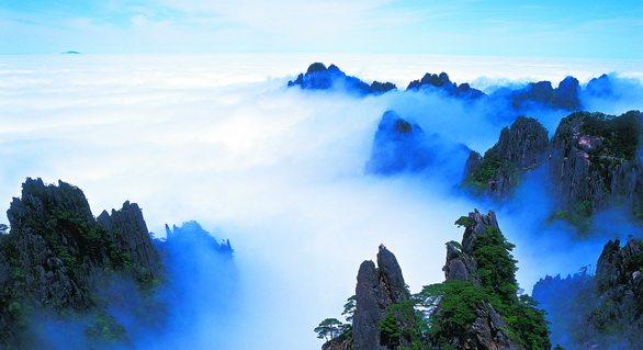 十大名茶金骏眉铁观音红茶龙井,红茶的代表性名茶及产地是哪里