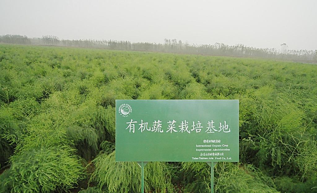 遇到一个敢说真话的老农，颠覆了我对“食品安全”的认知