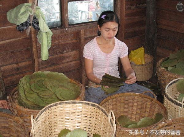 缅甸女人挣钱,缅甸女工发工资视频