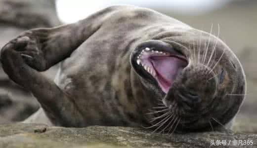 淘宝卖家回复差评的神回复搞笑,搞笑淘宝差评回复笑死我了