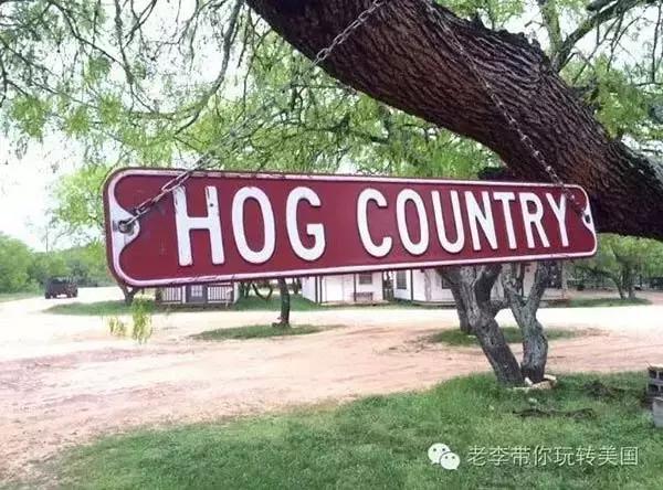 嗨文化｜美国狩猎：吃到嘴的意义