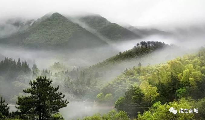 盛夏七月,商城县这几个地方被避暑游客挤爆了……