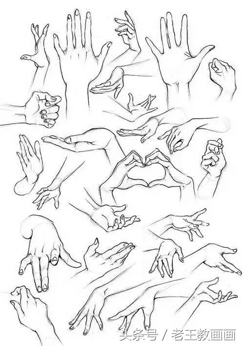 教100个零基础小白画画,100个适合零基础学习的画画教程