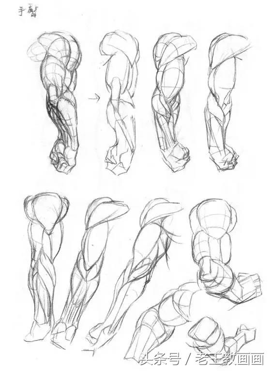 教100个零基础小白画画,100个适合零基础学习的画画教程