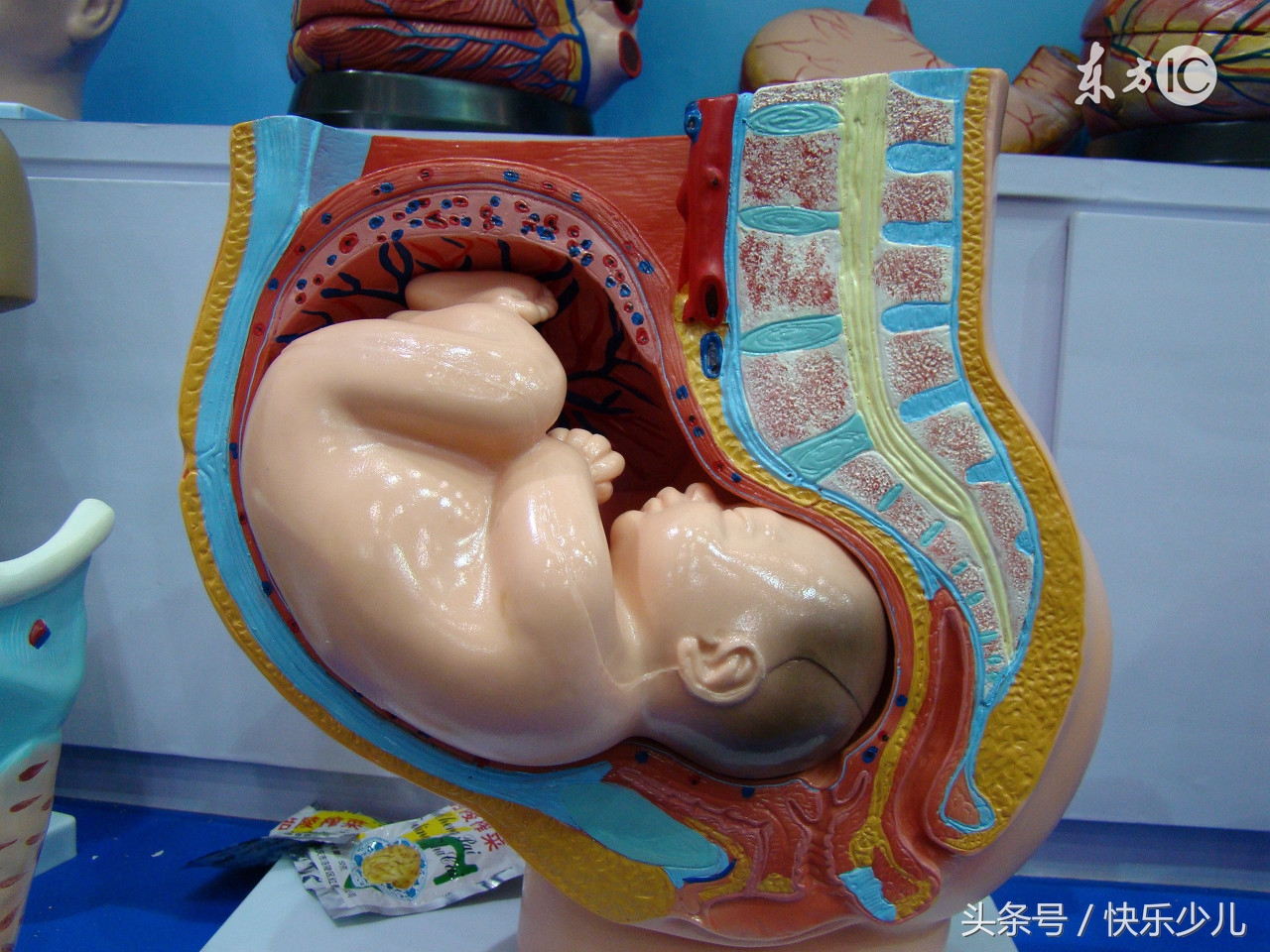 为什么产妇分娩时要切开会阴?侧切对产妇有损害吗