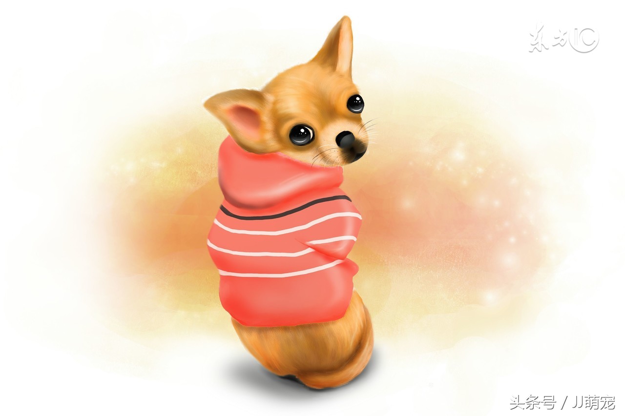 世上有多少种狗狗,世上有几种狗狗叫什么名字