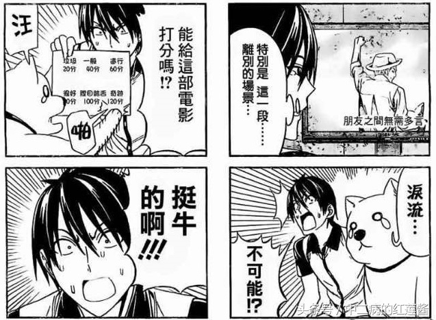 《笨女孩》被一个笨蛋带坏的小镇，唯独这条狗全面过人