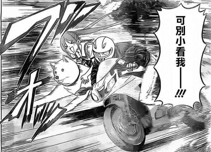 《笨女孩》被一个笨蛋带坏的小镇，唯独这条狗全面过人