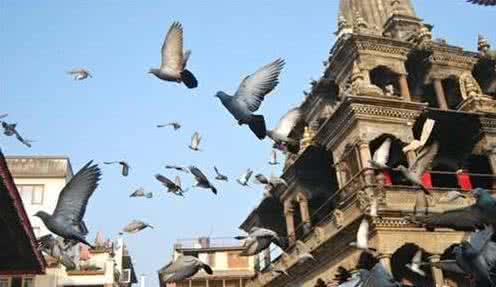 中国最后一个藩属国叫什么,我国最后一个藩属国