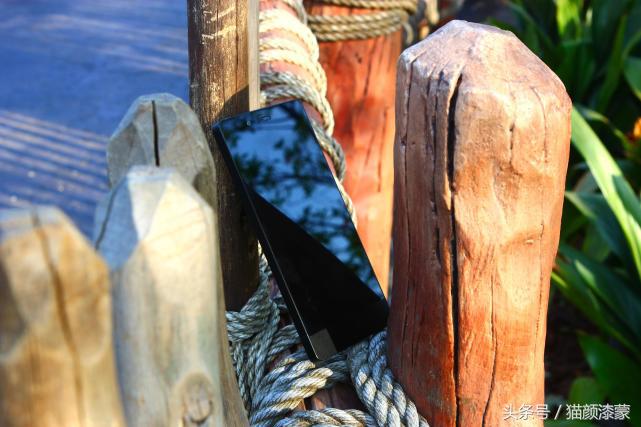 锐丽异类的上海之旅:坚果Pro畅玩迪士尼