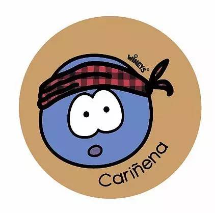 佳丽酿葡萄品种,佳丽酿西拉混酿的口感