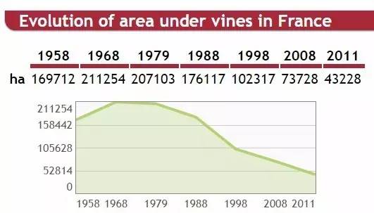 佳丽酿葡萄品种,佳丽酿西拉混酿的口感