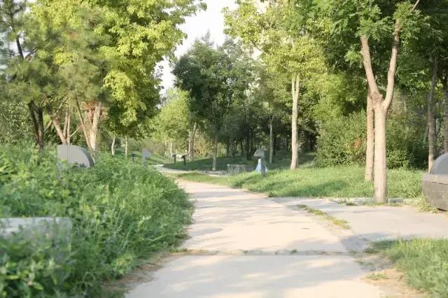 醉美西城｜“城在绿中人在景中”探访绿荫之下的回民区