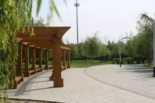 醉美西城｜“城在绿中人在景中”探访绿荫之下的回民区