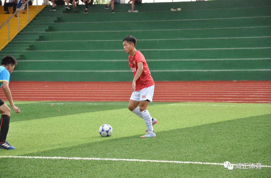 战报精彩视频大全,战报完整版视频