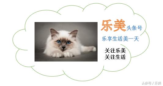 头条发布的文章怎么提高阅读量,怎样提高已发布头条文章的阅读量