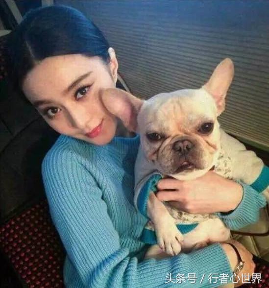 你牛什么牛是哪个小品的,你牛什么牛笑话