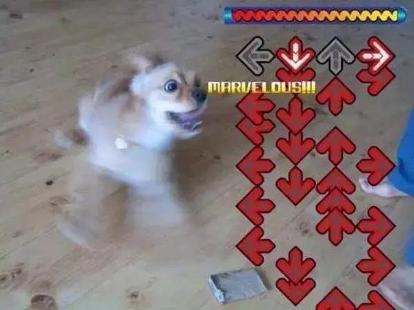 蜘蛛侠能拿雷神的锤子吗,蜘蛛侠可以放蜘蛛吗