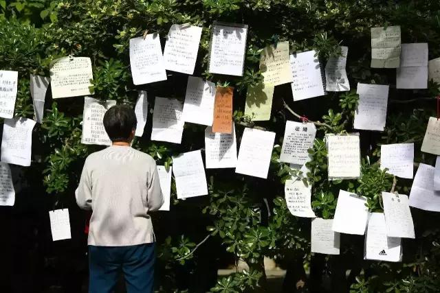 中国式相亲存在哪些问题,中国式相亲是不是假的