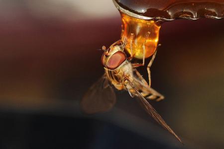 以点促化，妙点生花——教育教学中的“点睛”之笔