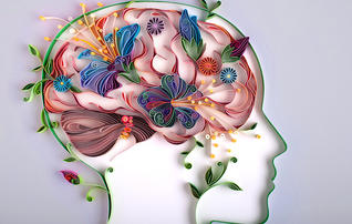 你知道人类的大脑是怎么衰退的吗？诺贝尔奖得主丹海姆哈尔曼博士的重大发现