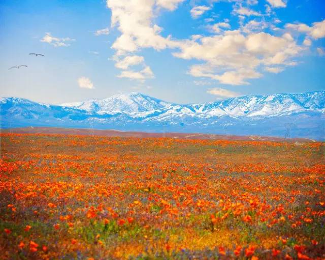 美国旅游10个必去的地方,美国加州有什么好玩的地方