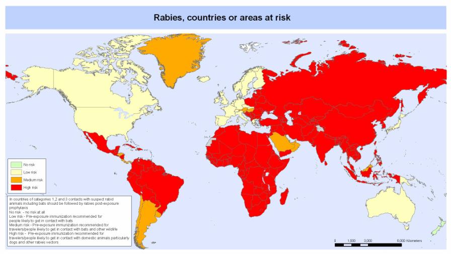 正确认识狂犬病知真相不恐慌,专家讲解狂犬病全过程