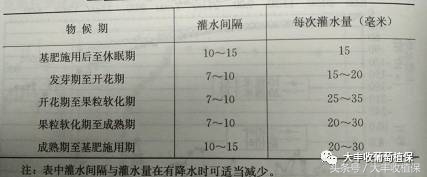 葡萄得了水罐子病怎么办,葡萄得了水罐子病
