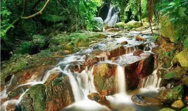 广东十大名山最新排名,广东七大名山是哪些