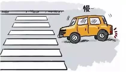 今天，我们来为这些攀枝花驾驶员点个赞吧