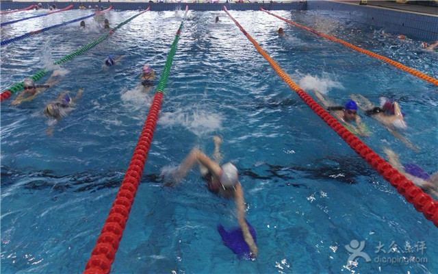 合肥哪些游泳馆开了,合肥百大附近游泳馆推荐