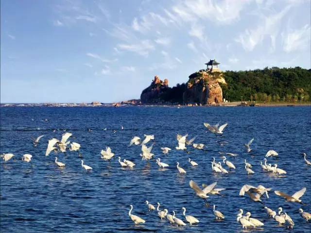 京津冀,听说你们缺一份避暑攻略?驿雲小编已给你们备好!