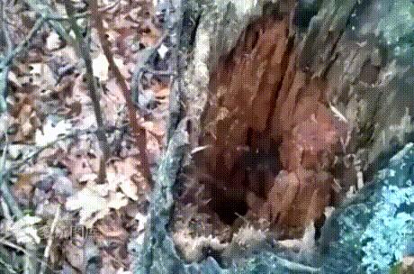 足球球员顶峰身价多少亿,足球员身价是谁的钱