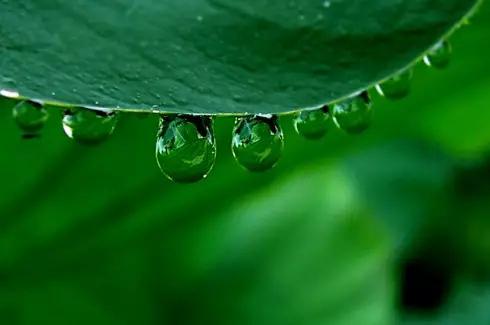雪儿：细雨冥蒙风静柔，山青水绕巷深幽