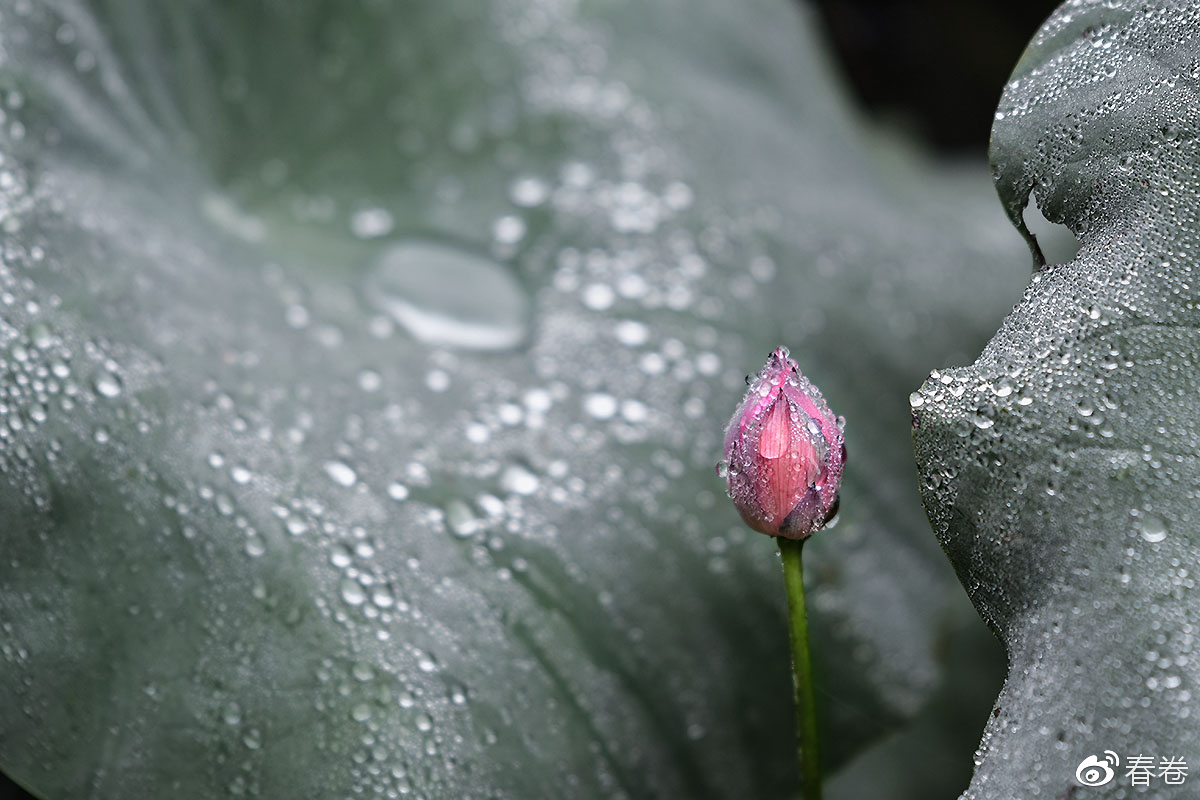 尼康和腾龙合作的镜头,尼康腾龙长变焦镜头比较