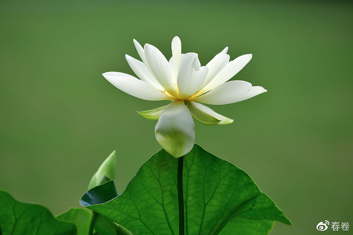 尼康和腾龙合作的镜头,尼康腾龙长变焦镜头比较