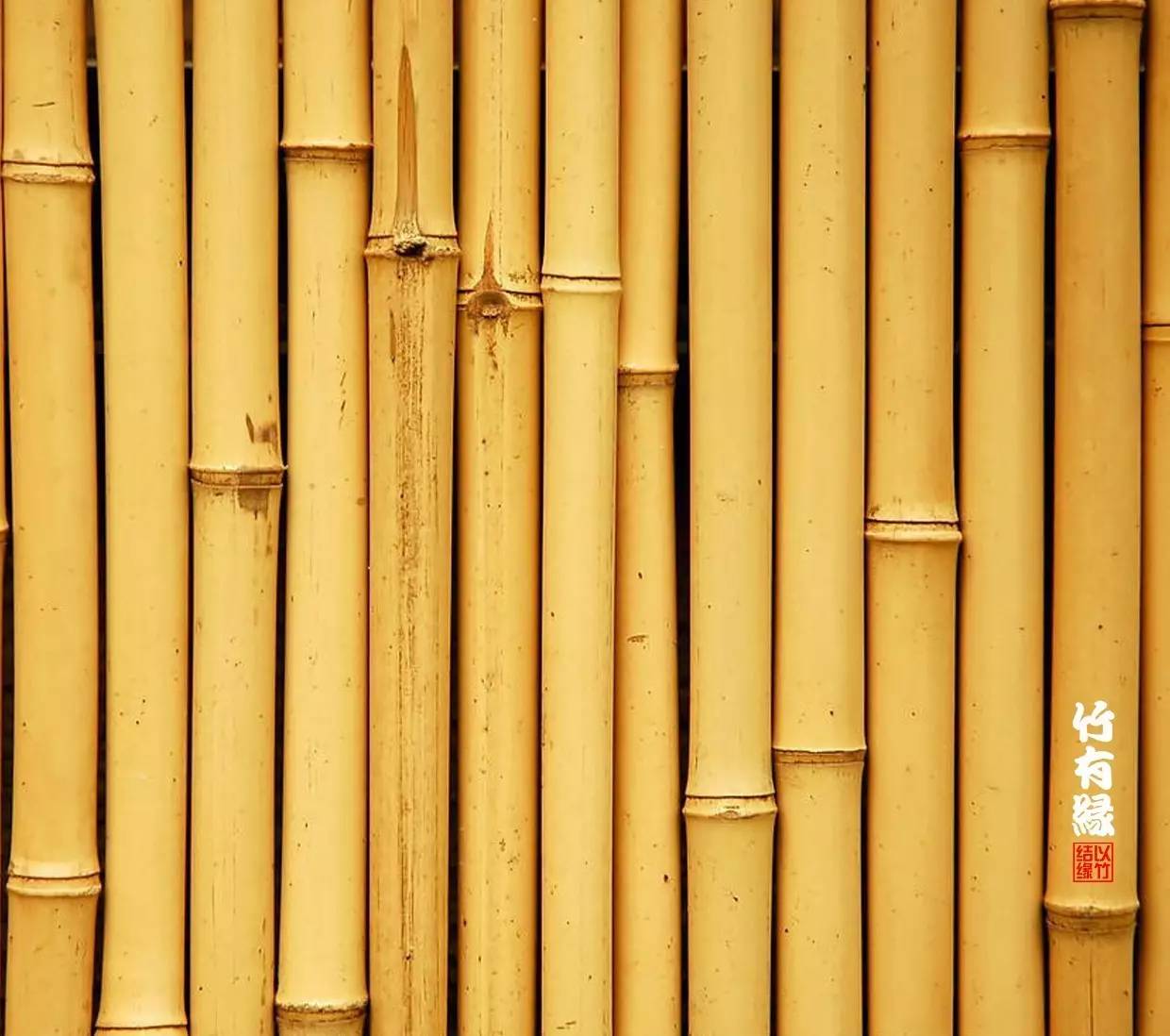 竹子染色水,竹子怎么无药染色