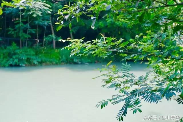 成都旅行轻奢帐篷哪里有,成都可以住帐篷的旅游景点有哪些