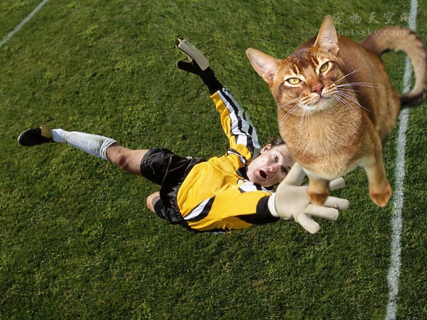 鎬庝箞鎶婅冻鐞冨仛鎴愮珛浣撶殑ps,鎶婅冻鐞僷鎴愮尗