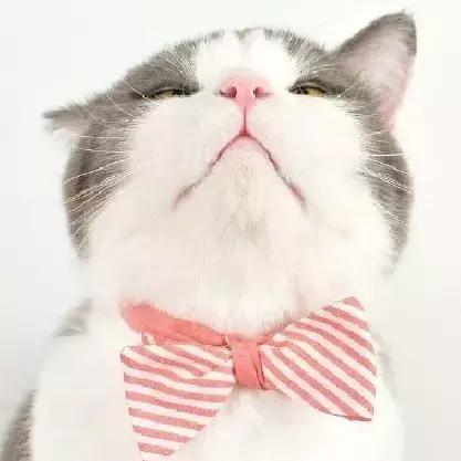 随时随地一壶热水就能吃上的美味螺蛳粉,我们帮你找好了!饿了么?