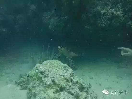 藏穴是什么意思,藏穴