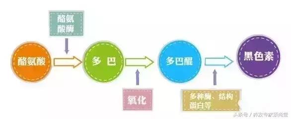 白发转黑不用染靠谱么,白发转黑按什么穴位