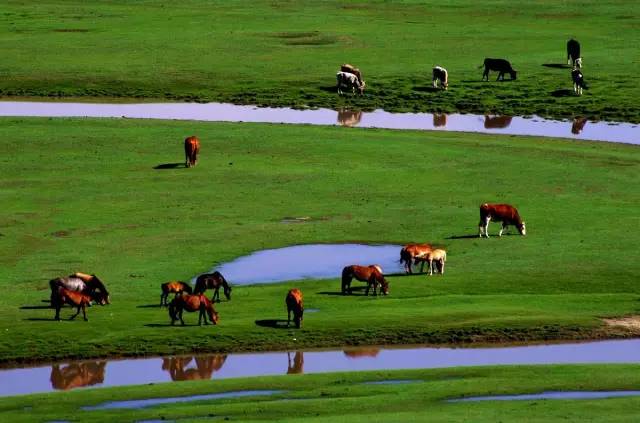 京津冀,听说你们缺一份避暑攻略?驿雲小编已给你们备好!