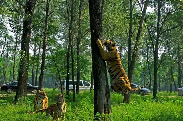 京津冀,听说你们缺一份避暑攻略?驿雲小编已给你们备好!