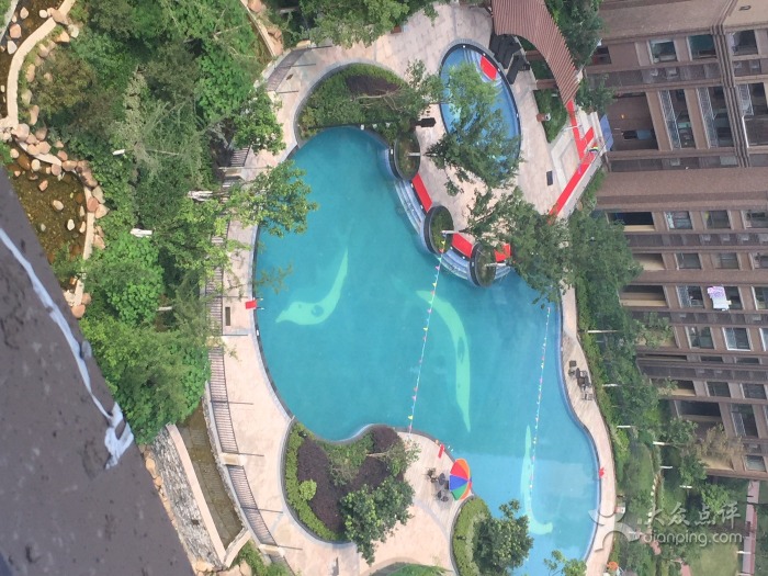 合肥哪些游泳馆开了,合肥百大附近游泳馆推荐