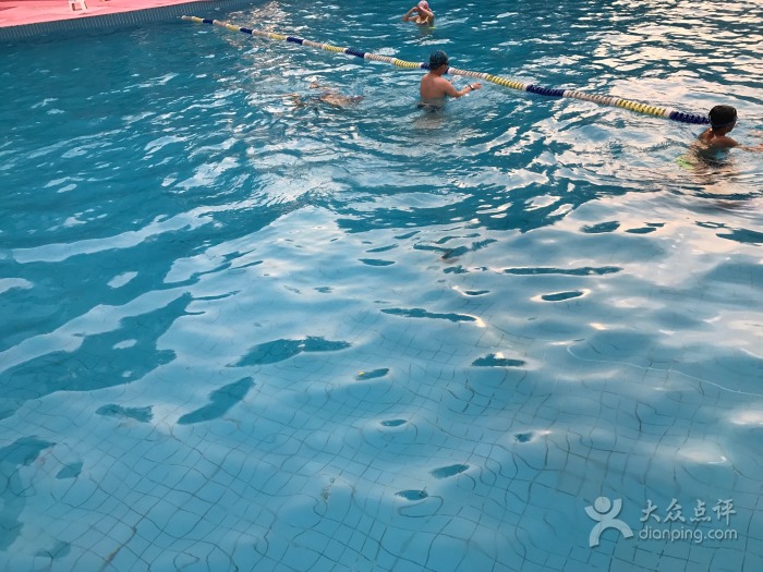 合肥哪些游泳馆开了,合肥百大附近游泳馆推荐