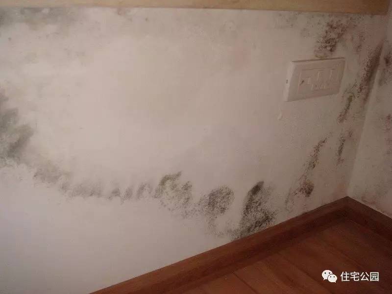 有什么办法可以把房子弄烂,墙发霉起皮返潮怎么办